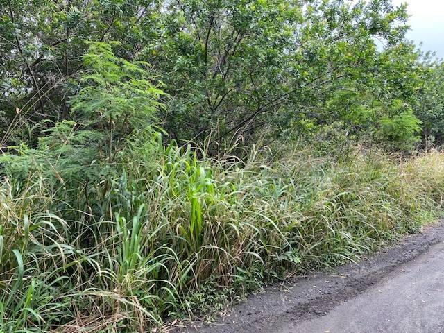 KEKUHAUPIO RD, Naalehu, HI 96772