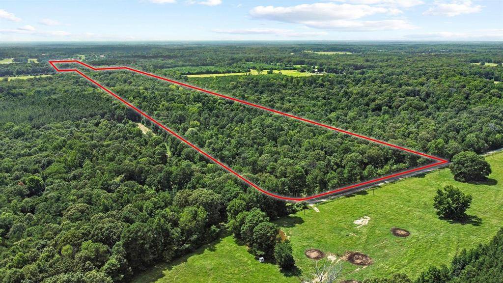 0000 County Road 4418, Avery, TX 75554