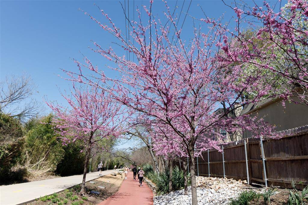 4044 Buena Vista #104, Dallas, TX 75204