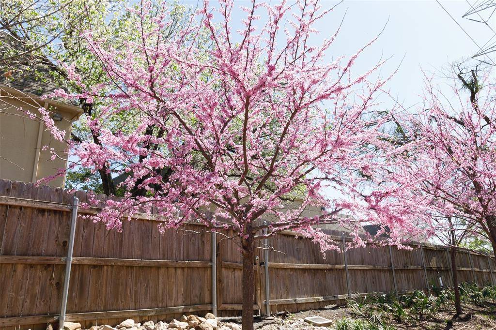 4044 Buena Vista #104, Dallas, TX 75204