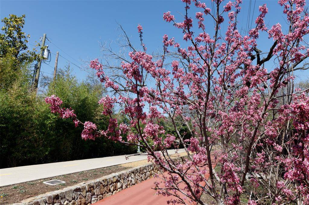 4044 Buena Vista #104, Dallas, TX 75204