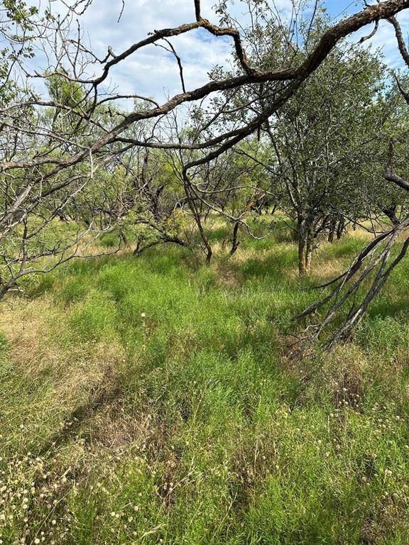 Tract 19 AC CR 150, Abilene, TX 79601