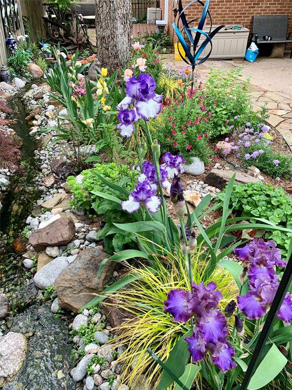 9705 Ash Creek Drive, Dallas, TX 75228