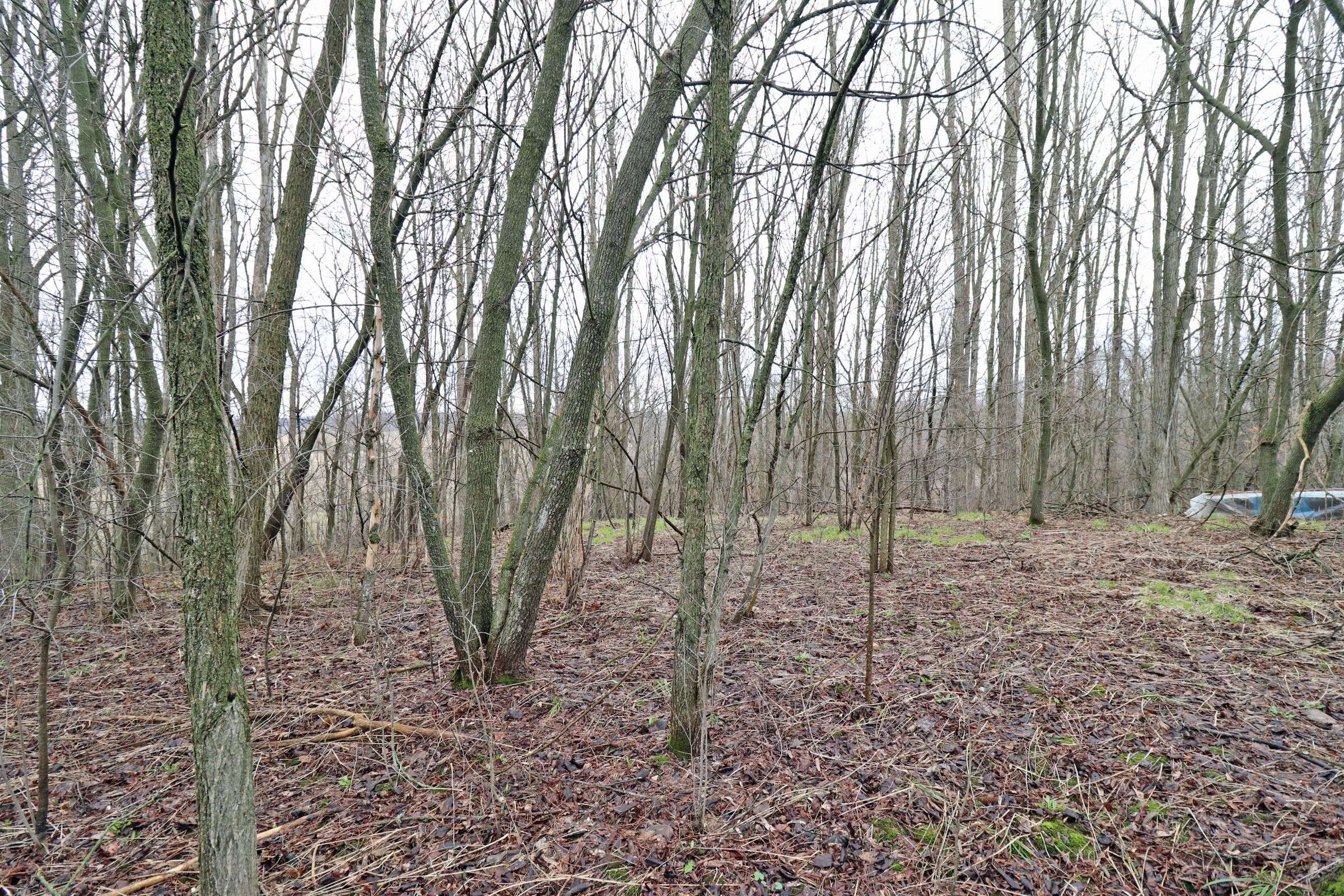 207 Goodfellow RD, Brighton, ON K0K 1R0