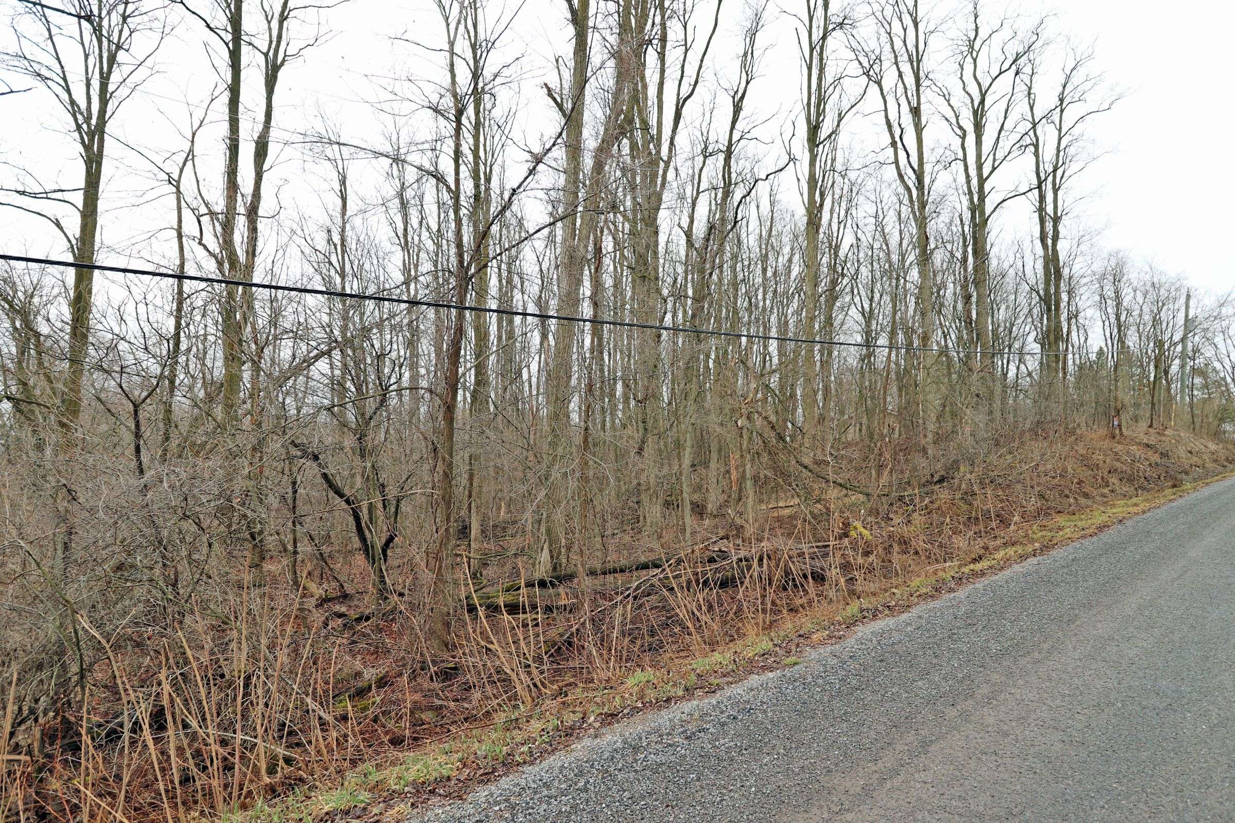 207 Goodfellow RD, Brighton, ON K0K 1R0