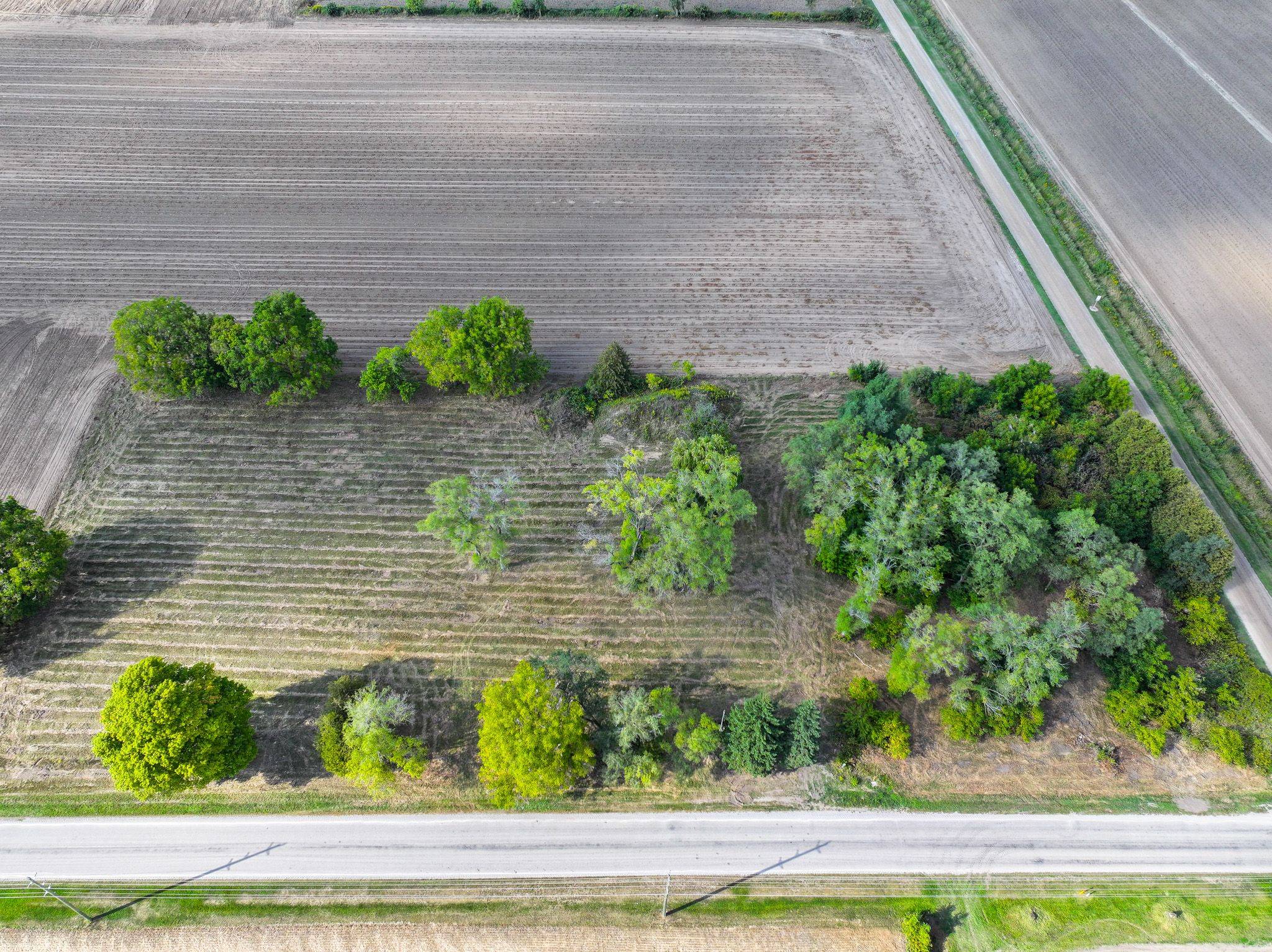 188 12TH CONCESSION RD, Brant, ON N0E 1E0