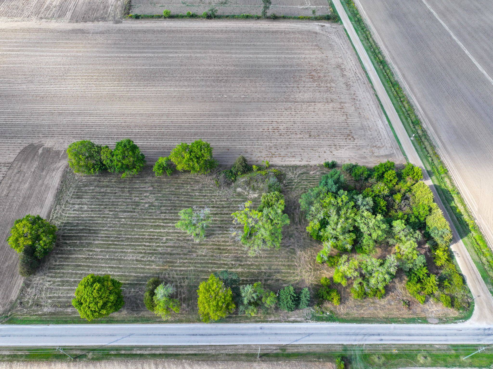 188 12TH CONCESSION RD, Brant, ON N0E 1E0