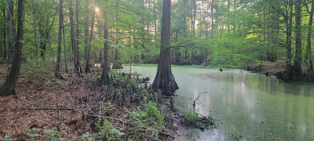 TBD County Road 430, Carthage, TX 75633