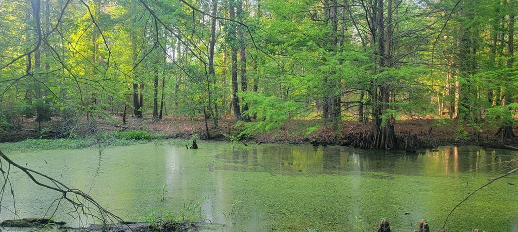 TBD County Road 430, Carthage, TX 75633