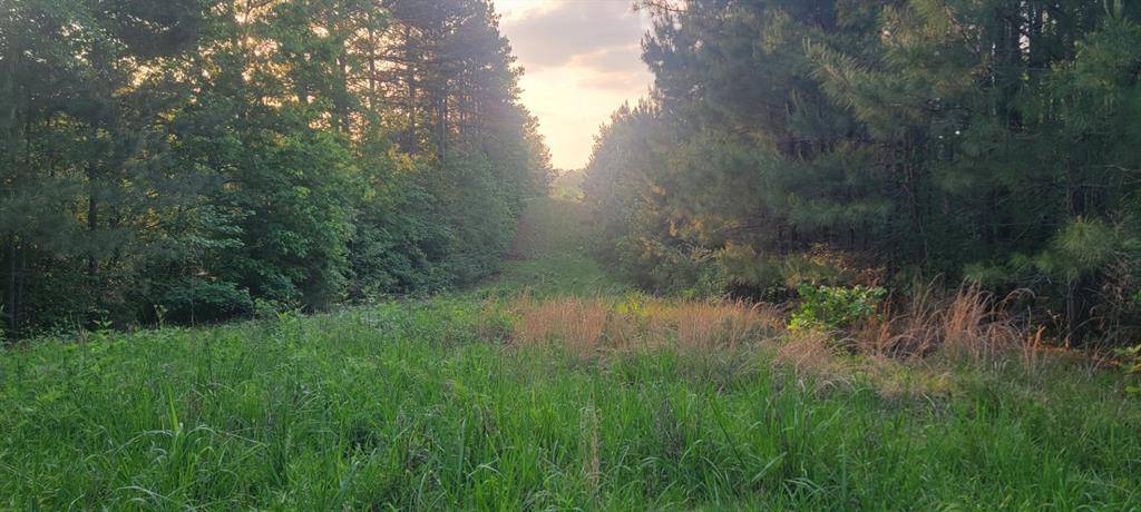 TBD County Road 430, Carthage, TX 75633