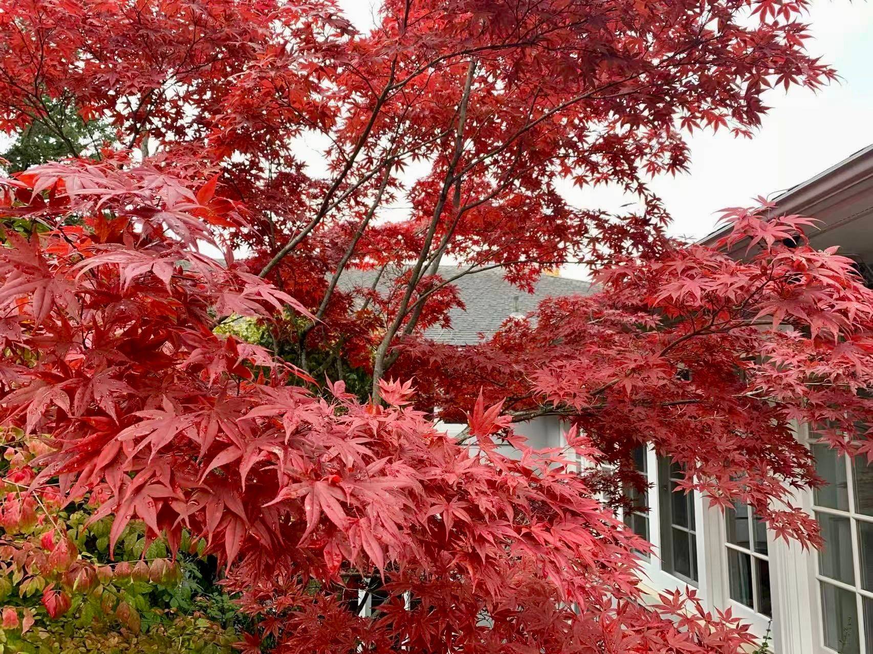 80 Bayview RDG, Toronto C12, ON M2L 1E6