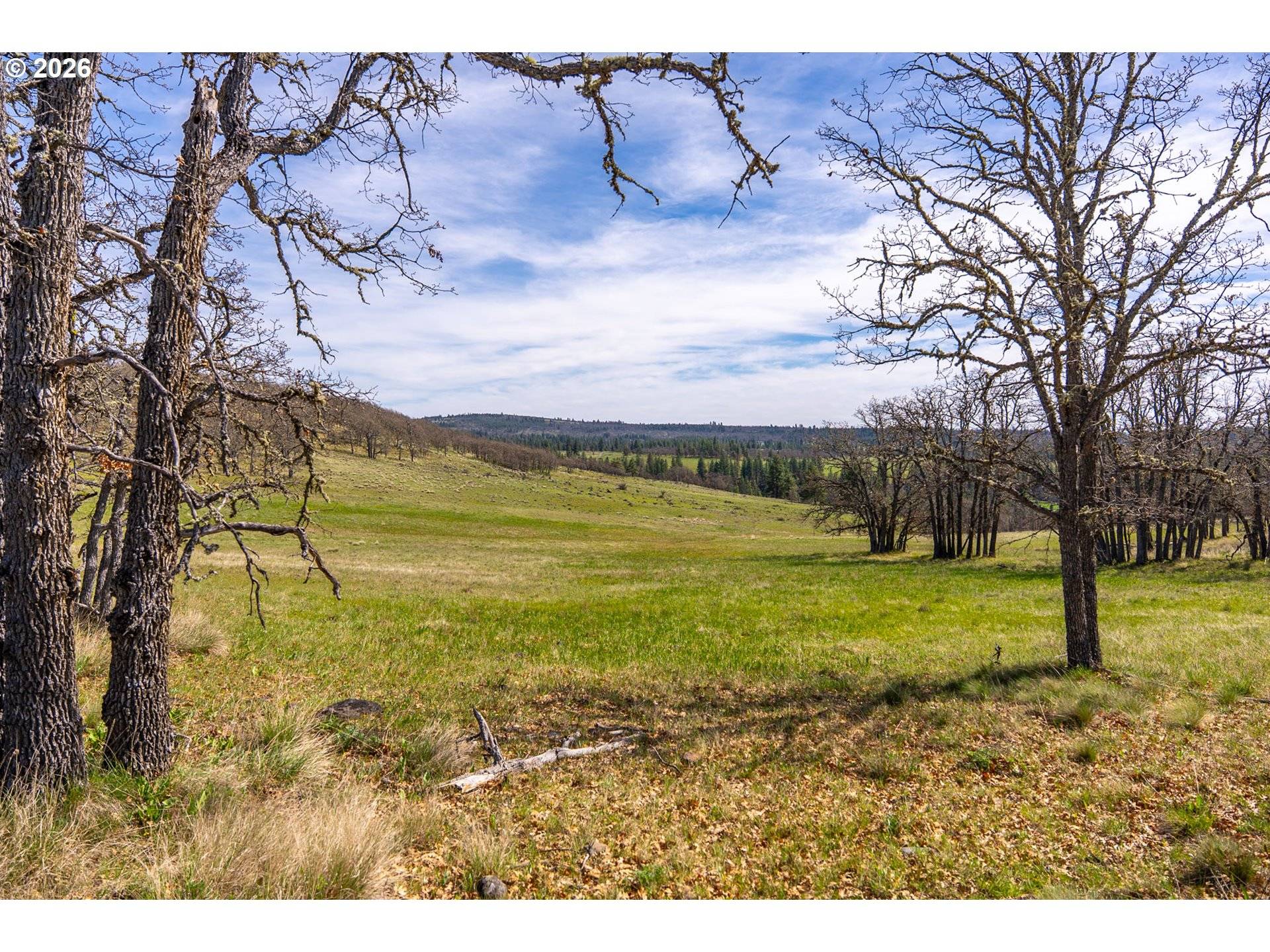 Piney Woods, Goldendale, WA 98620