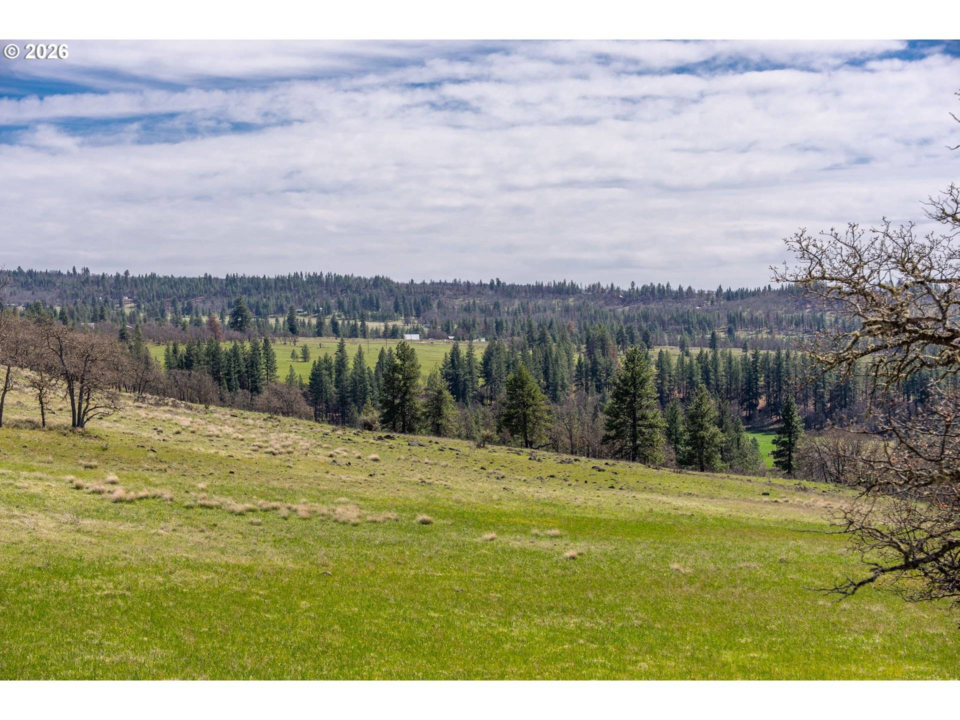 Piney Woods, Goldendale, WA 98620
