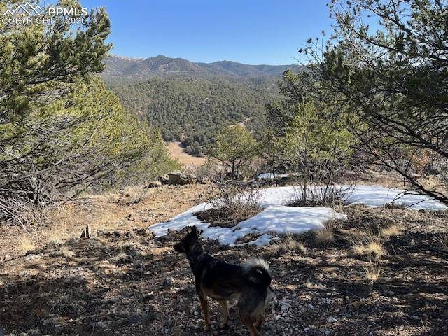 Lot 17 S Dunn DR, Canon City, CO 81212