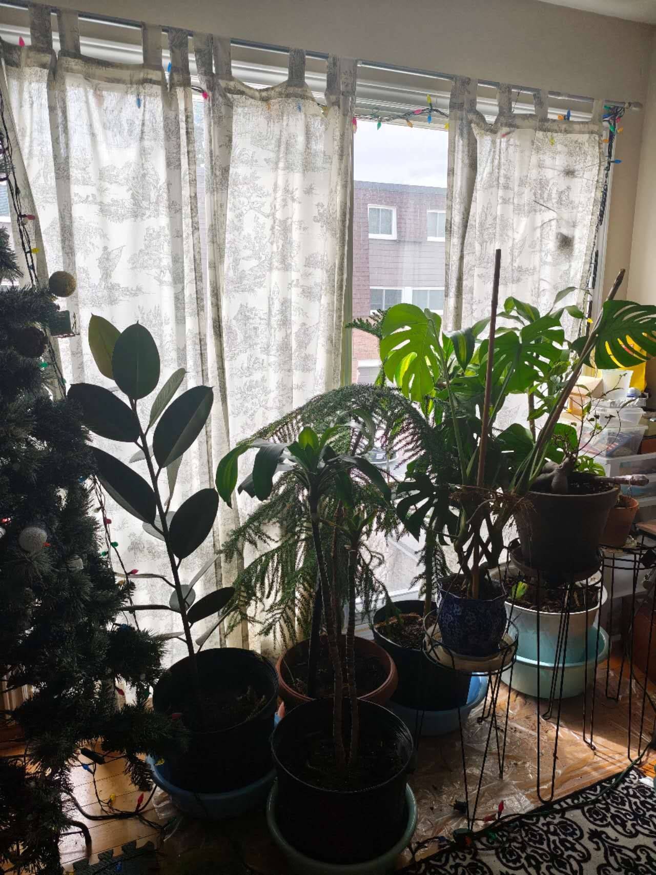 653 Village Pkwy E #40, Markham, ON L3R 2R2