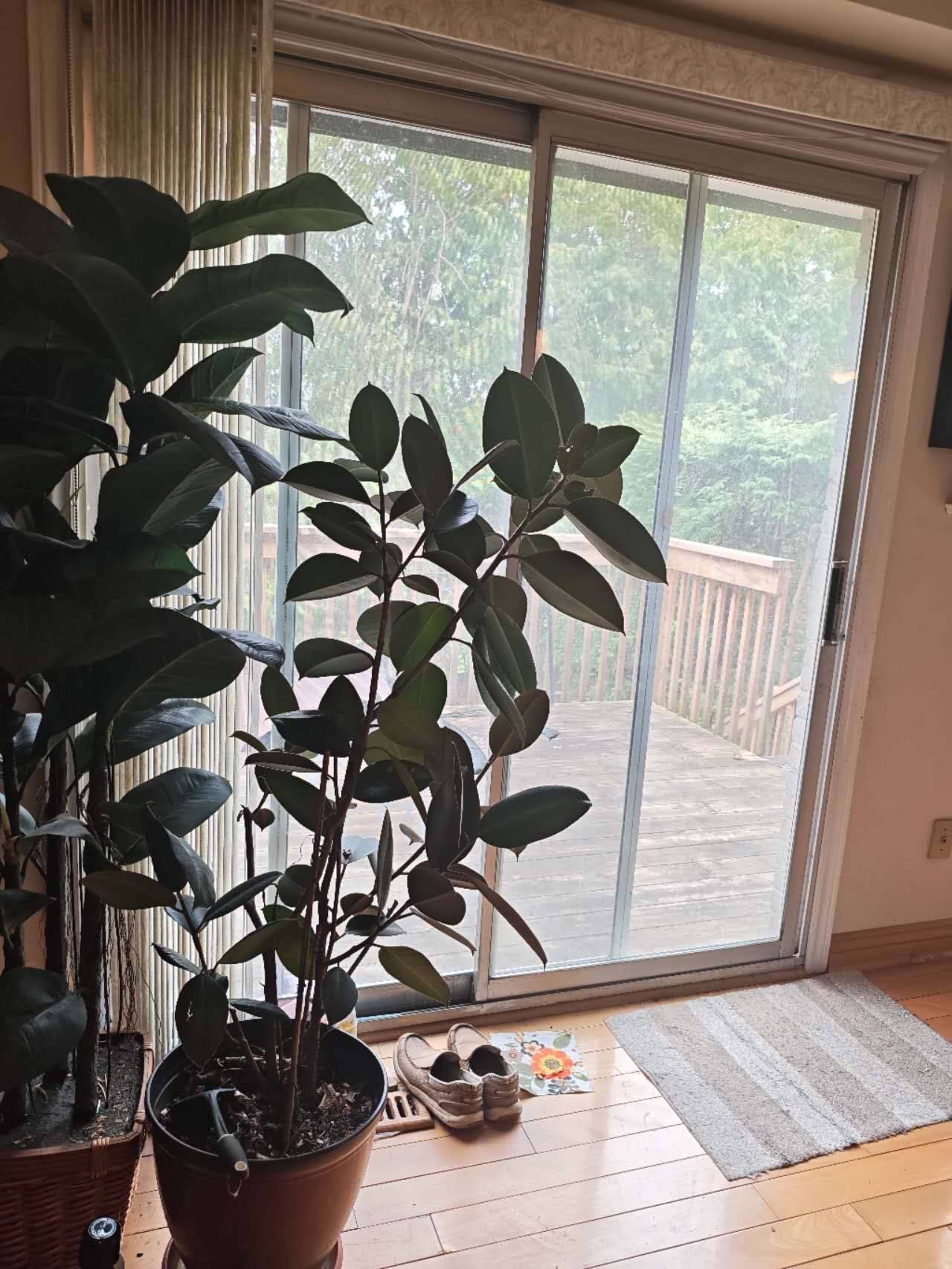 653 Village Pkwy E #40, Markham, ON L3R 2R2