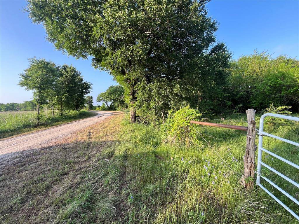15.35 ACRES LCR 219, Coolidge, TX 76635