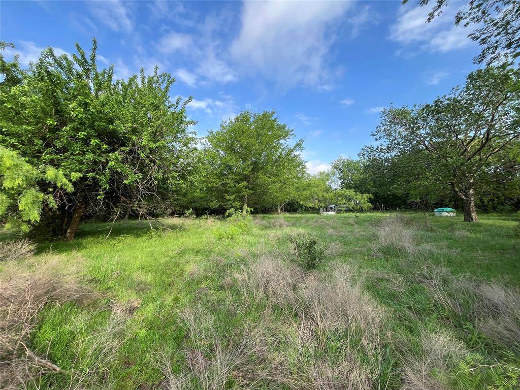 15.35 ACRES LCR 219, Coolidge, TX 76635
