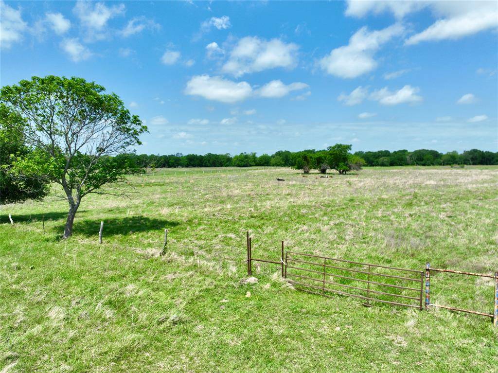 TBD 11 acres Fm 1183, Alma, TX 75119