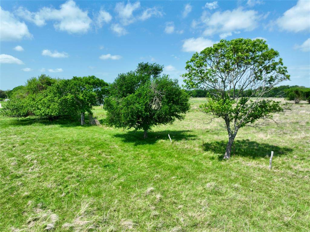 TBD 11 acres Fm 1183, Alma, TX 75119
