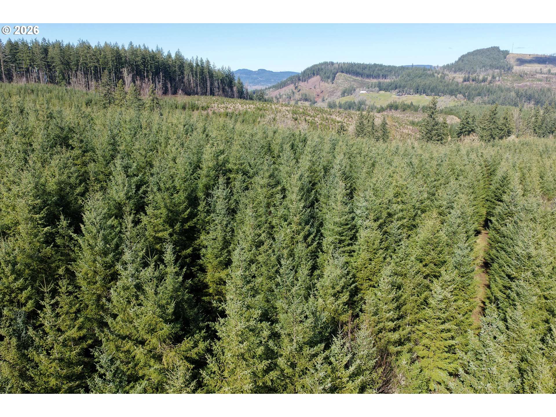 Courtney Creek DR, Brownsville, OR 97327