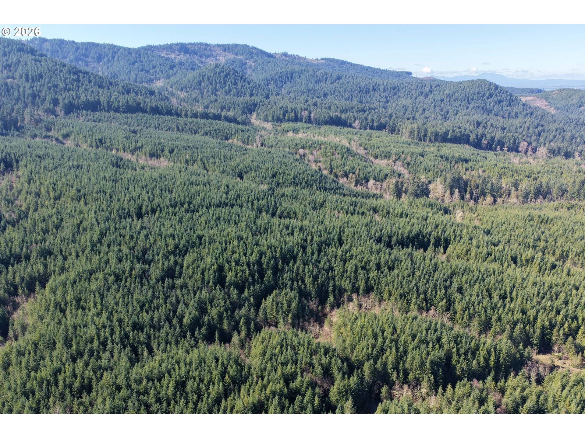 Courtney Creek DR, Brownsville, OR 97327