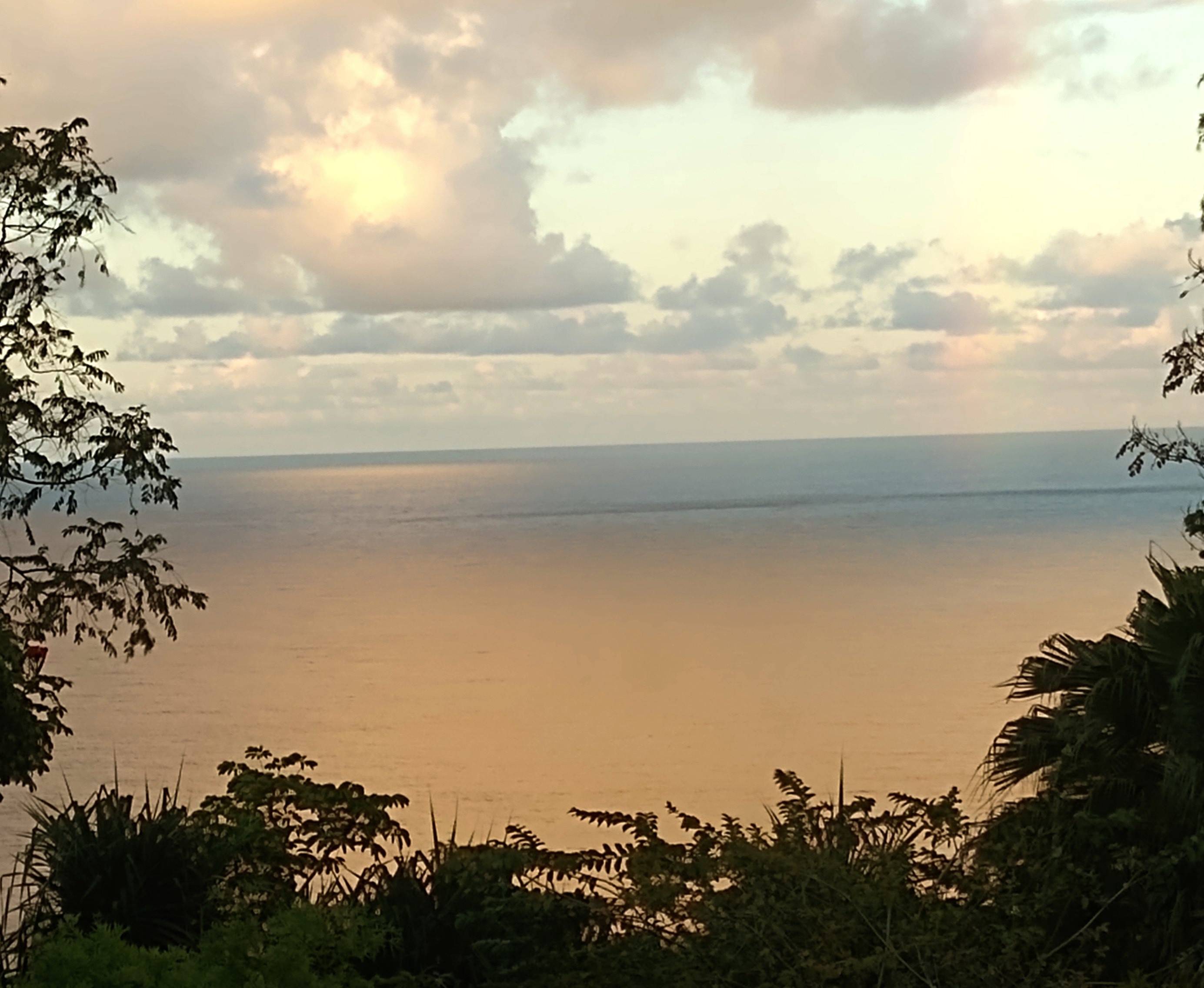 35-2064 OLD MAMALAHOA HIGHWAY, Laupahoehoe, HI 96764