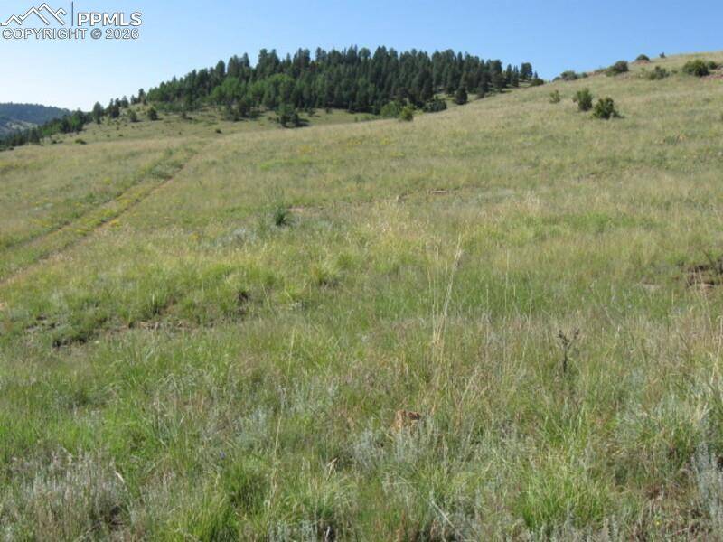 Lot 1-2 Shideler AVE, Cripple Creek, CO 80813