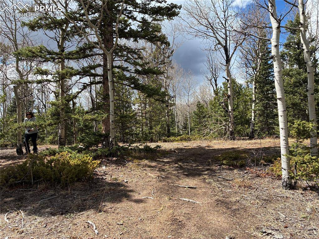 12201 S Highway 67, Cripple Creek, CO 80813