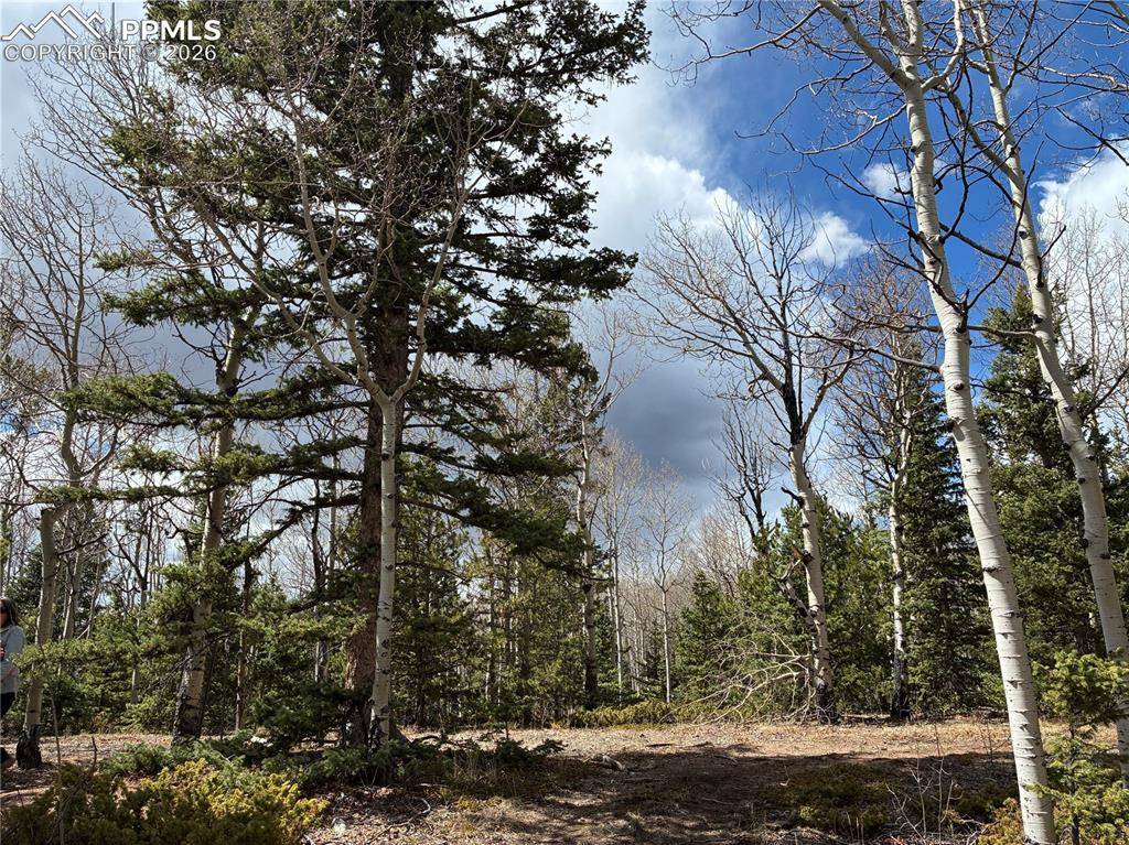 12201 S Highway 67, Cripple Creek, CO 80813