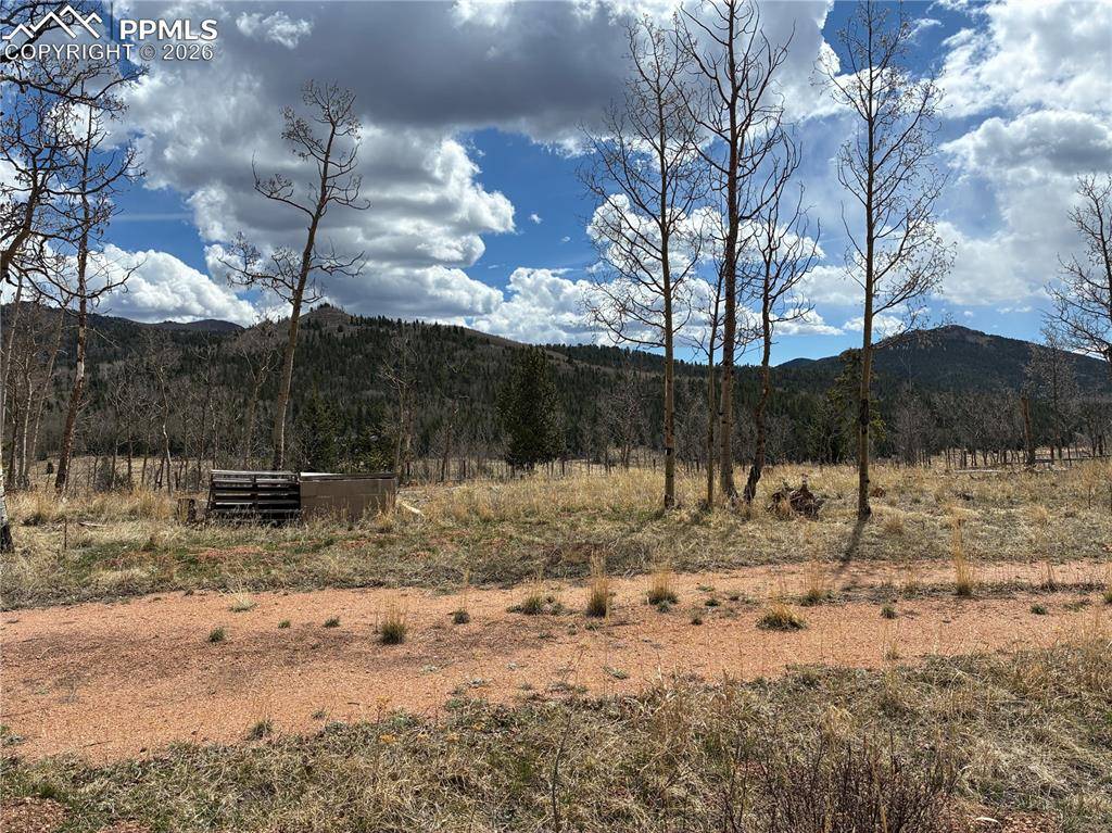 12201 S Highway 67, Cripple Creek, CO 80813