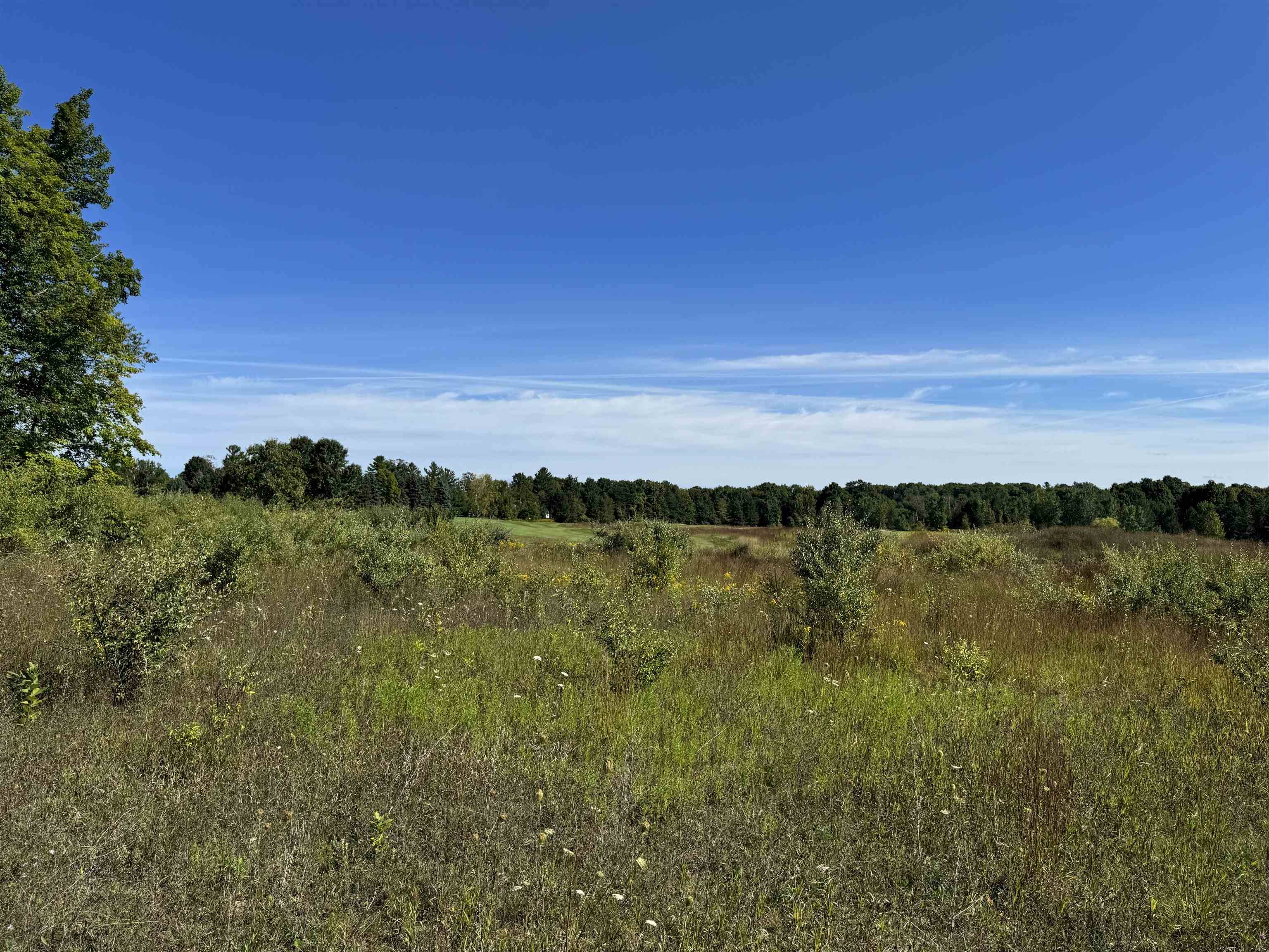 4855 Prestwick CT, Acme Twp, MI 49690