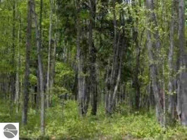 0 Cunningham RD, Coldsprings Twp, MI 49646