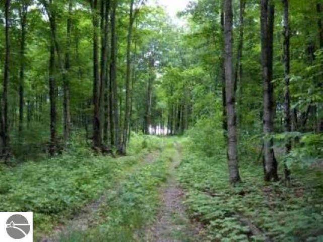 0 Cunningham RD, Coldsprings Twp, MI 49646