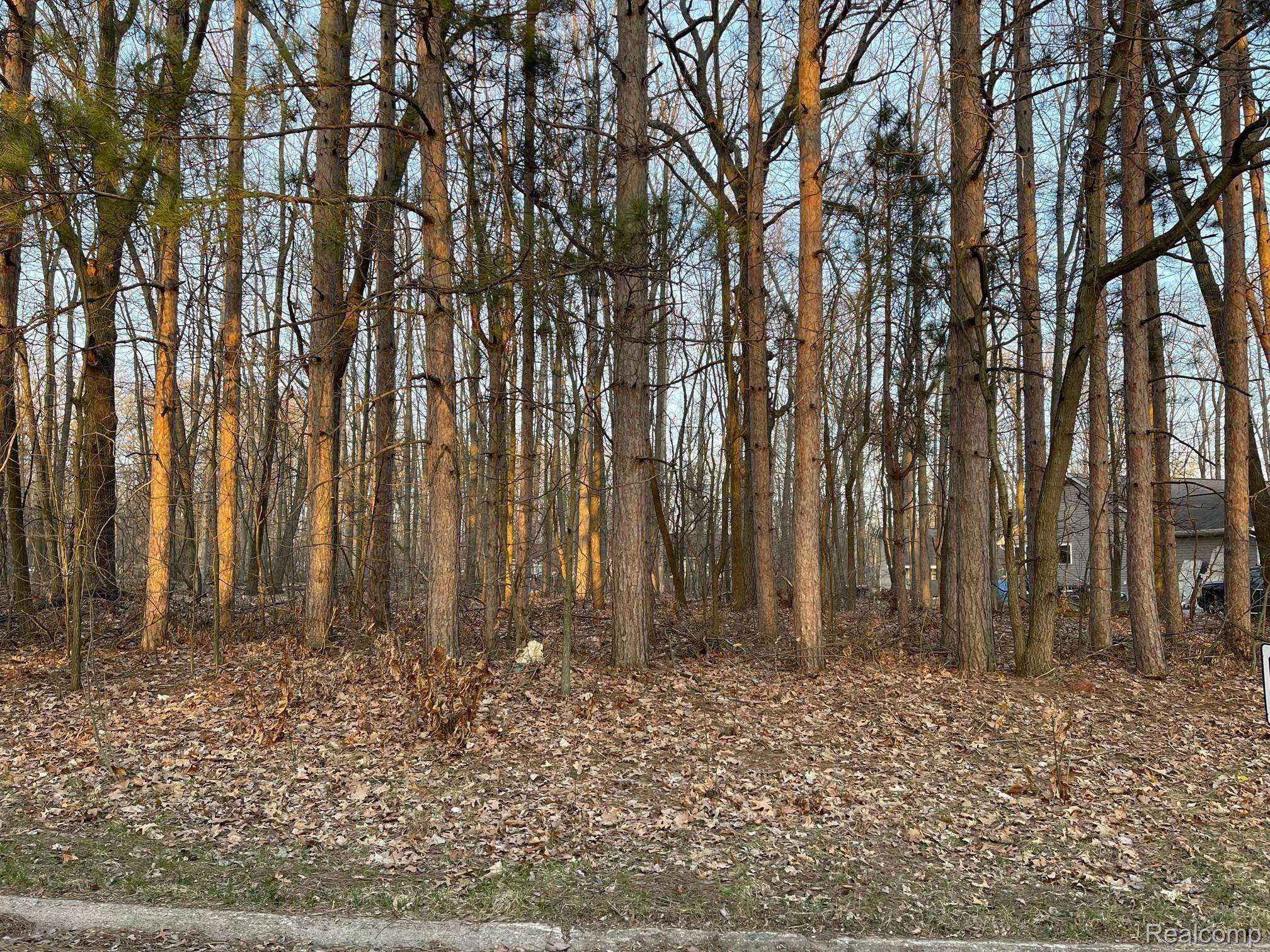 9127 Pineview Lake, Argentine Twp, MI 48451