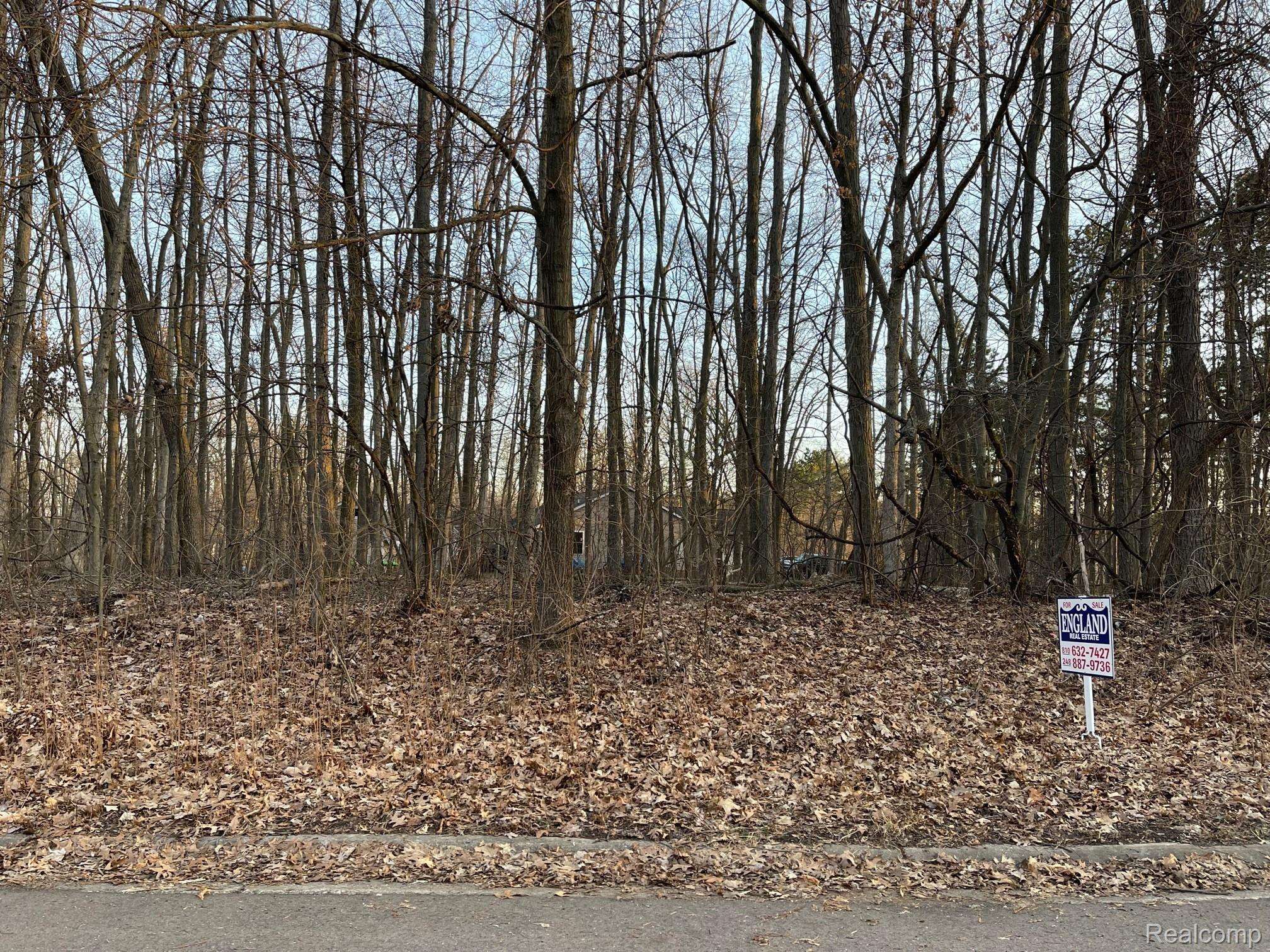 9127 Pineview Lake, Argentine Twp, MI 48451