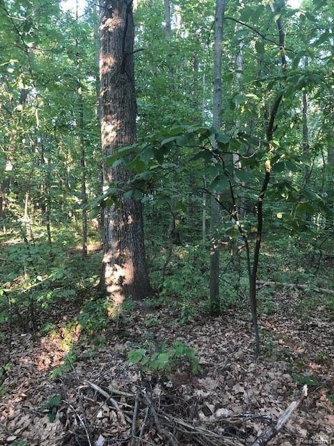 9127 Pineview Lake, Argentine Twp, MI 48451