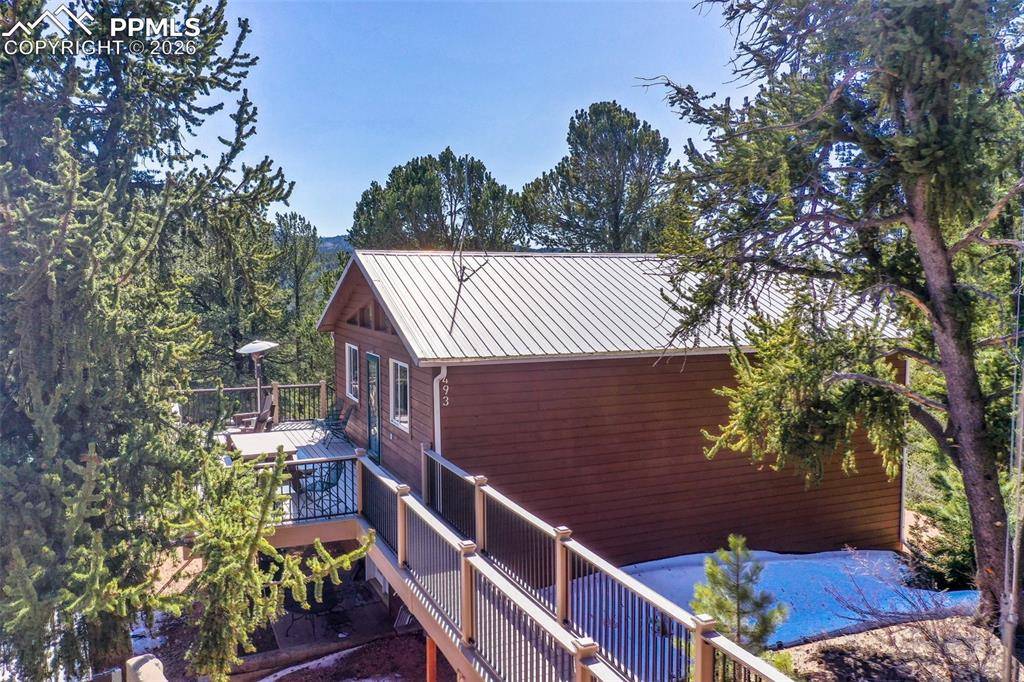 493 Horseshoe DR, Divide, CO 80814