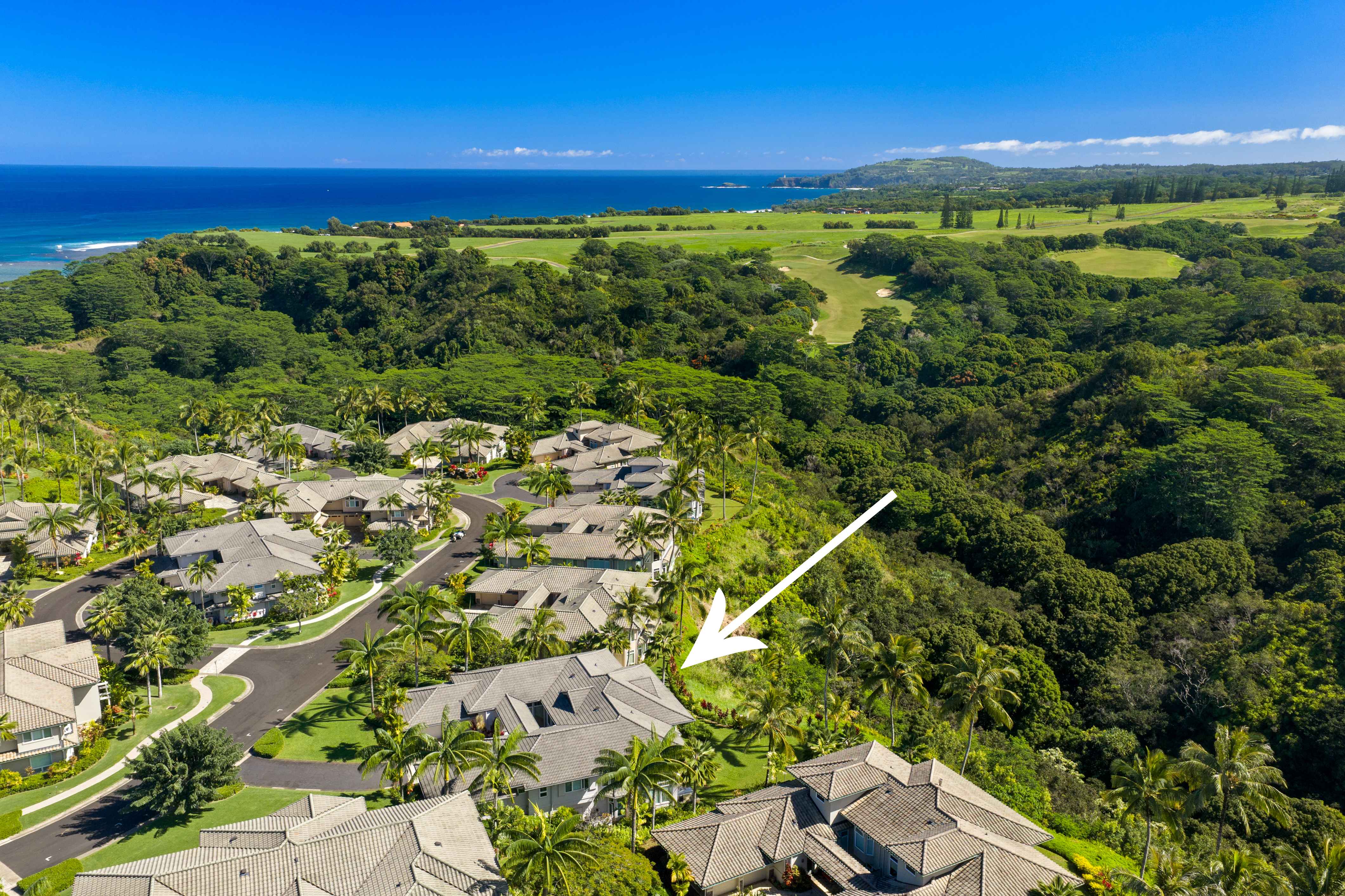 4100 QUEEN EMMA'S DR #8, Princeville, HI 96722