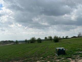 101 Alexander Court, Cresson, TX 76035