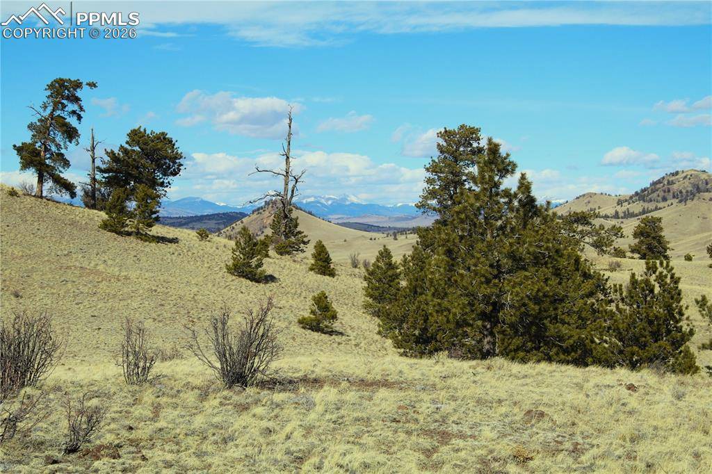 Ahlers RD, Hartsel, CO 80449