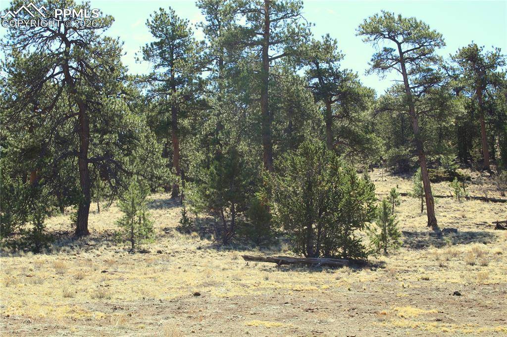 Ahlers RD, Hartsel, CO 80449