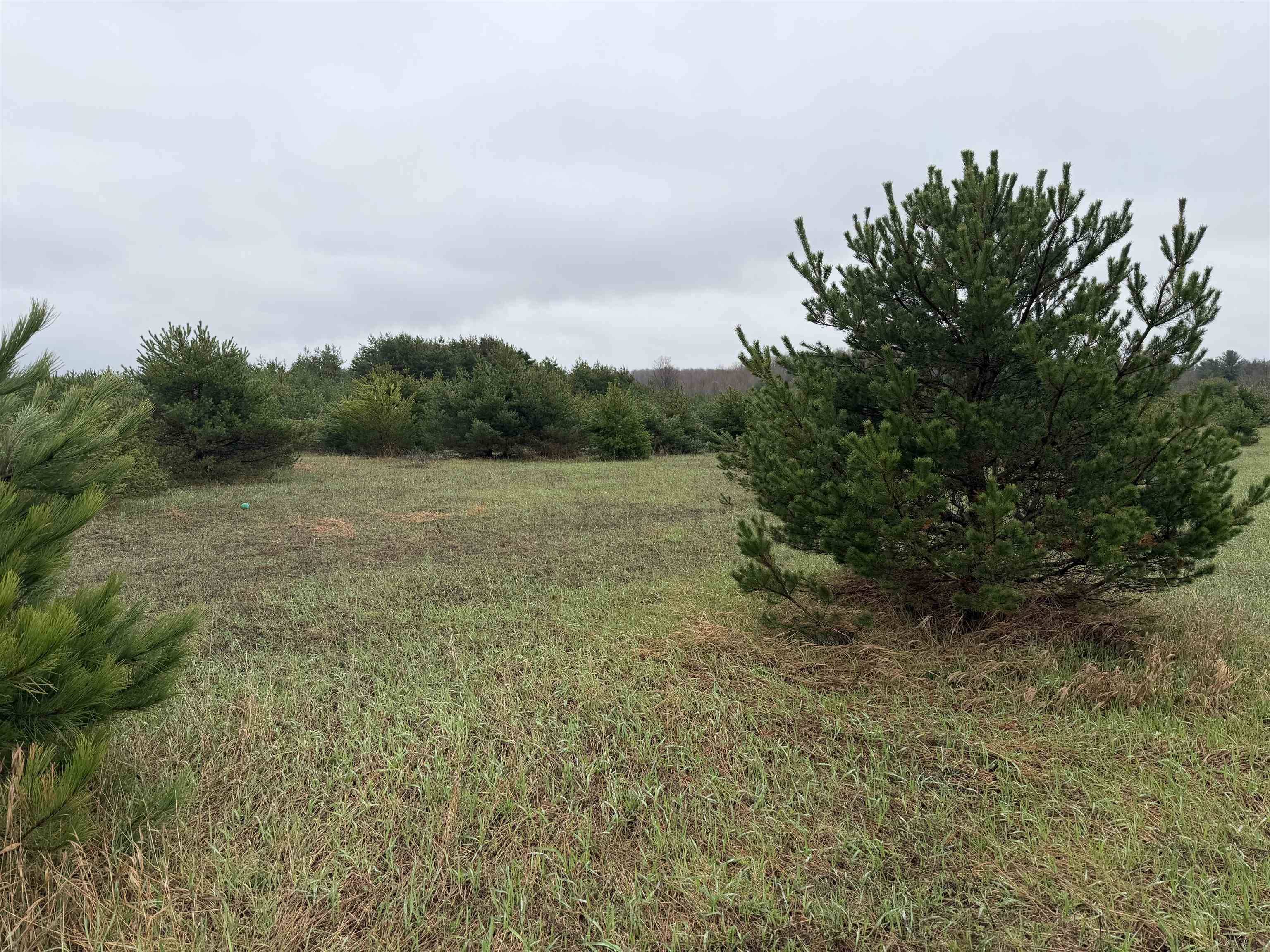 Lot P E Sparling RD, Paradise Twp, MI 49649