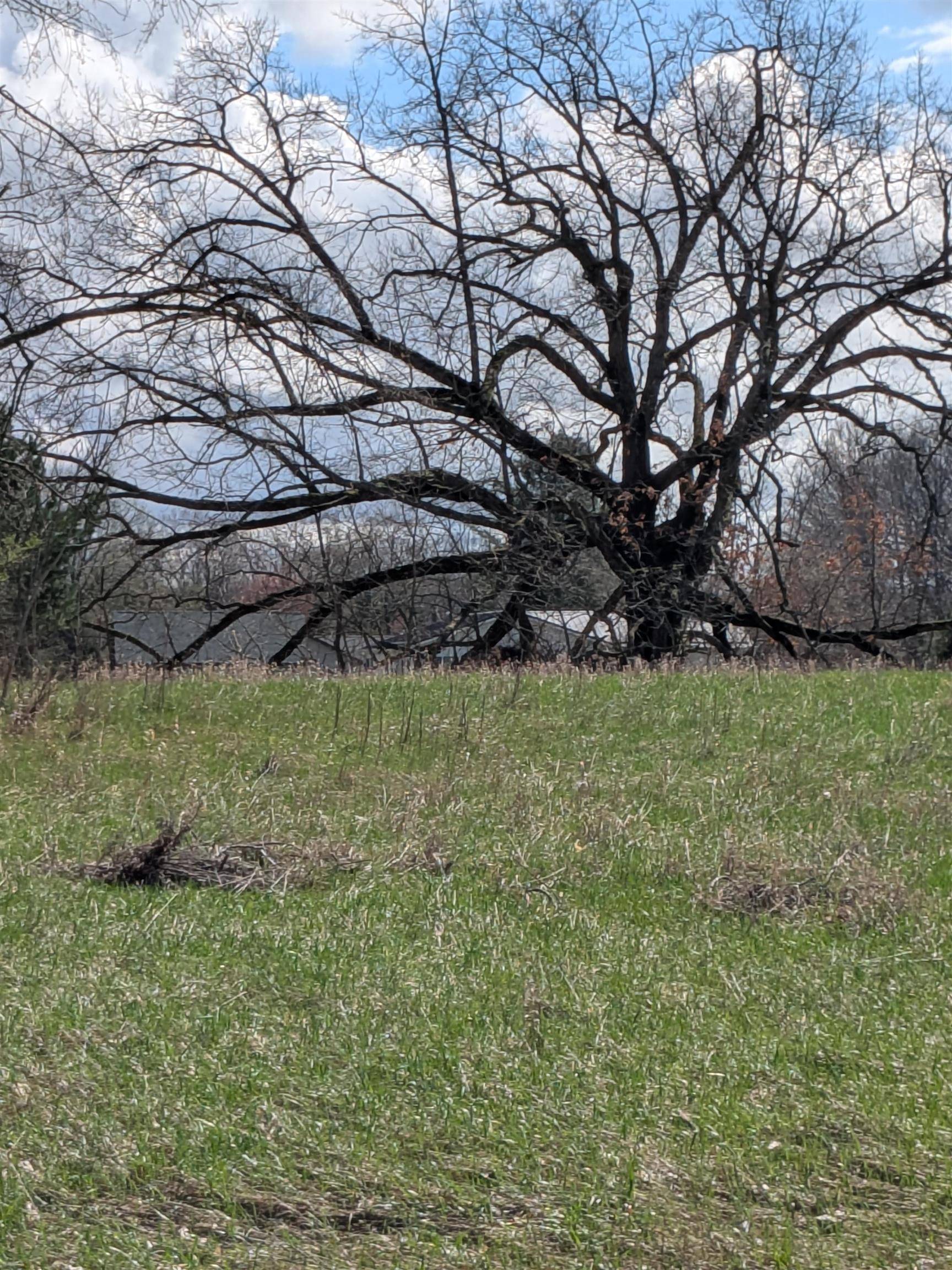 1095 Lincoln DR, Broomfield Twp, MI 48893