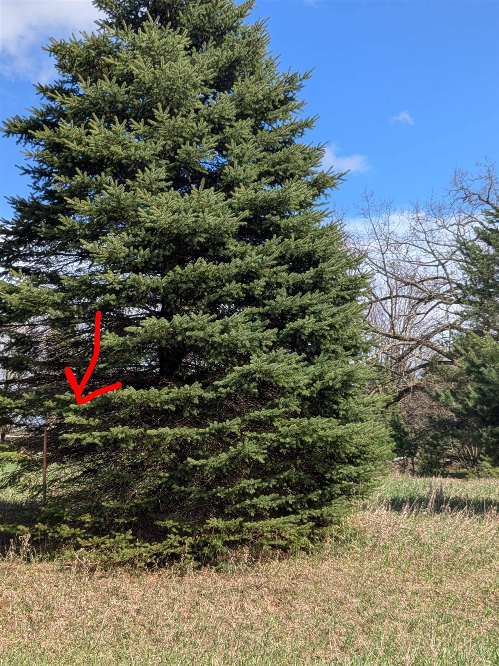 1003 Kent ST, Broomfield Twp, MI 48893