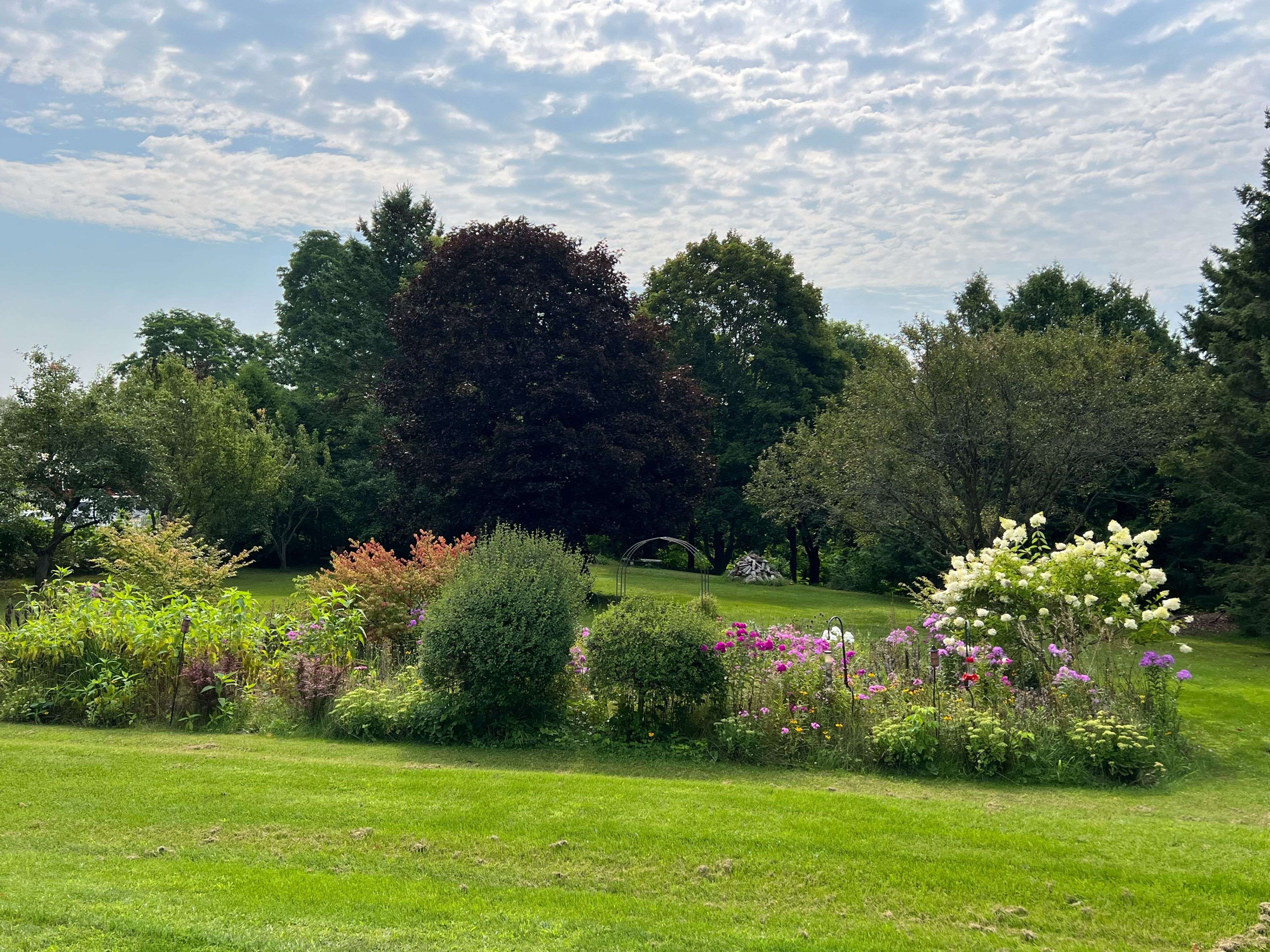 17 Douglas ST, Trent Hills, ON K0K 3K0