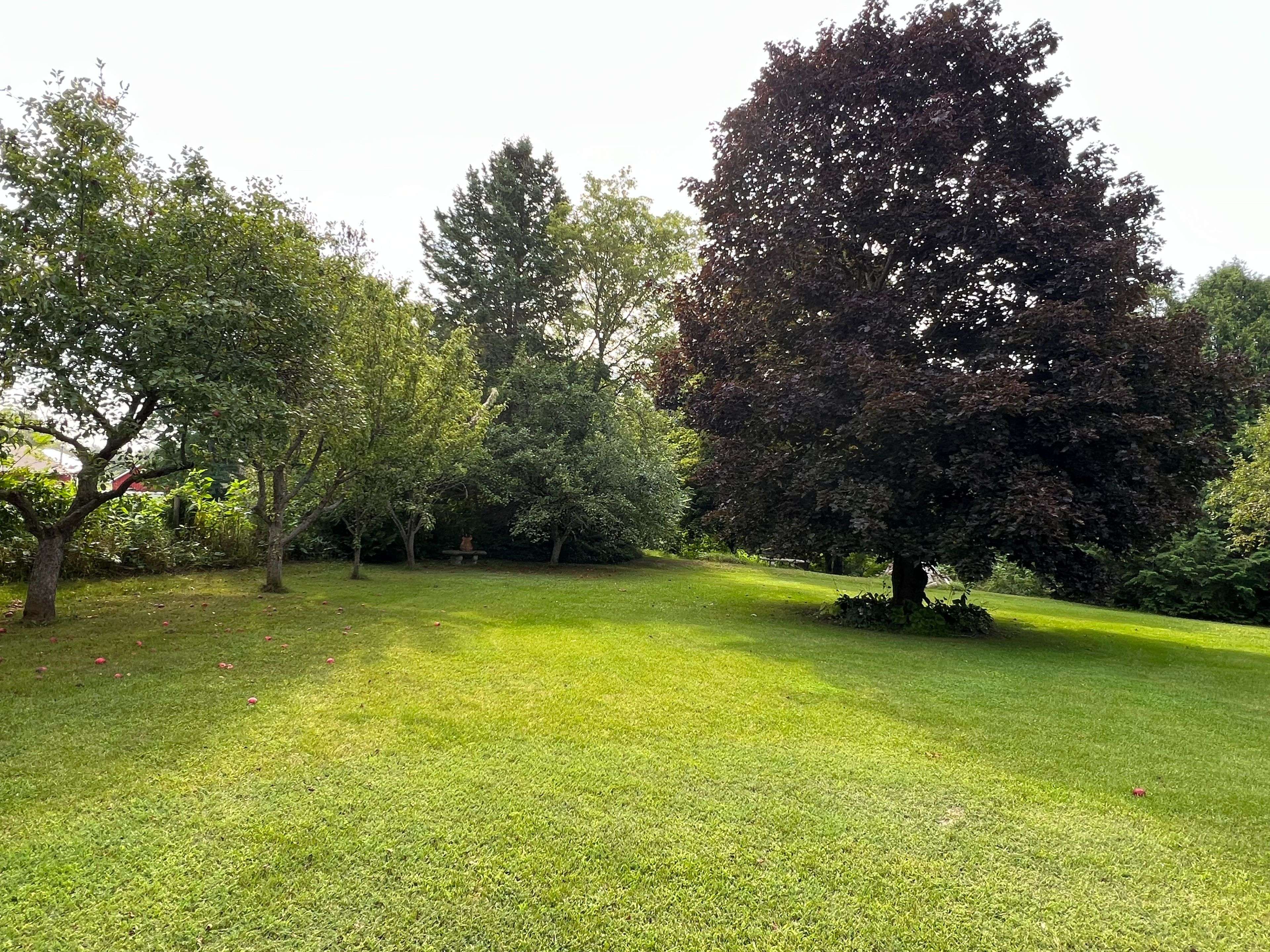 17 Douglas ST, Trent Hills, ON K0K 3K0