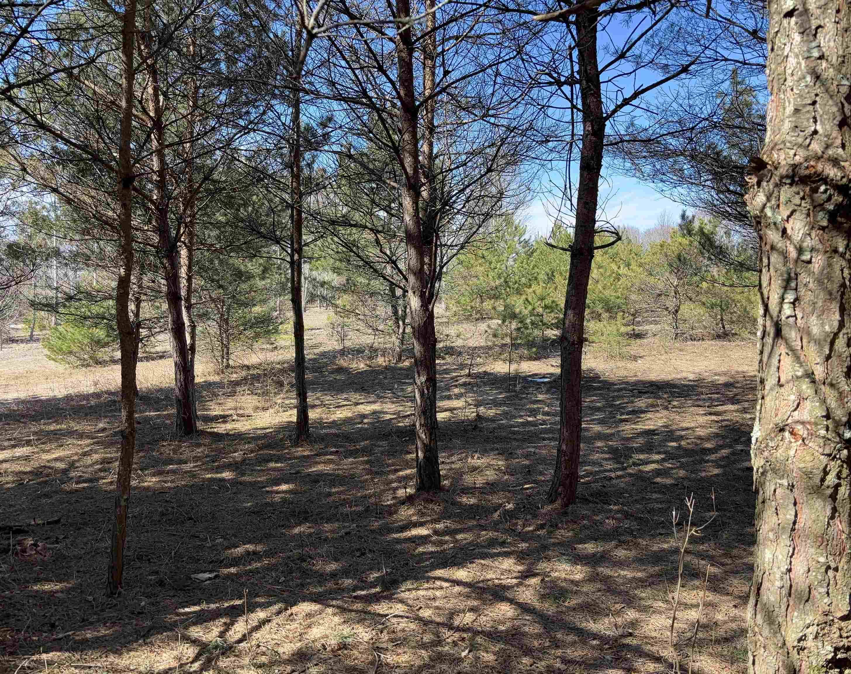 000 Case RD, Benzonia Twp, MI 46917