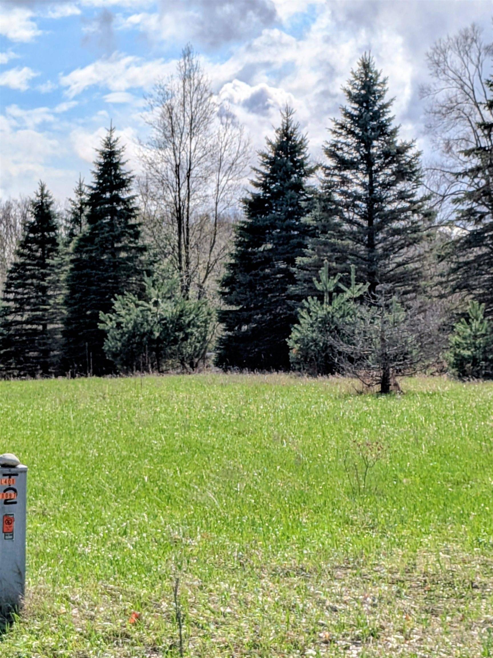 1097 Lincoln DR, Broomfield Twp, MI 48893