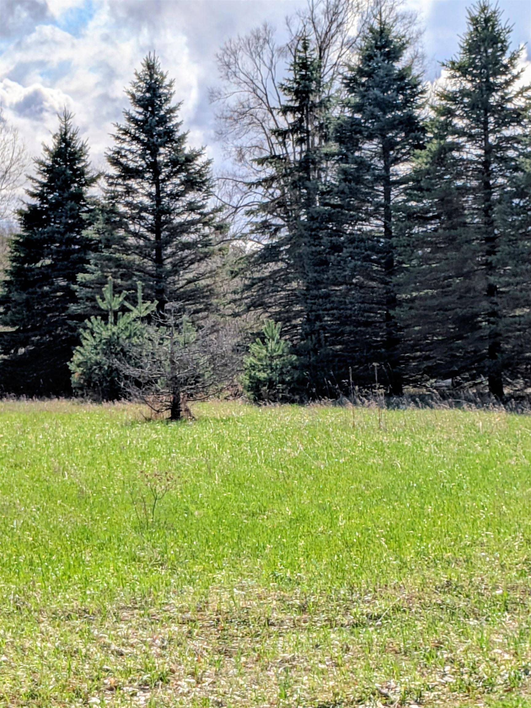 1097 Lincoln DR, Broomfield Twp, MI 48893